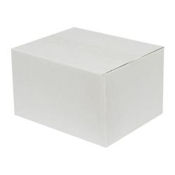 21x12x14 cm Tek Oluklu Beyaz Koli