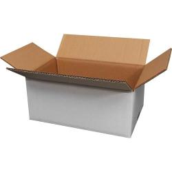 35x22x15 cm Çift Oluklu Beyaz Koli