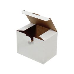 15x10x11 cm Kutu Amerikan Kilit Beyaz