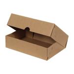 20x13x5 cm Kraft E-Ticaret Kargo Kutusu (4 Nokta)