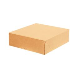 27x24x8 cm Kraft E-Ticaret Kargo Kutusu (4 Nokta)