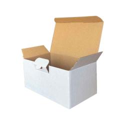 17,5x10x8,5 cm Hazır Beyaz Kutu