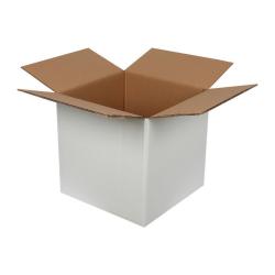 30x30x25 cm Çift Oluklu Beyaz Koli