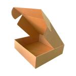 25x16x12 cm Kraft Karton Kutu Kilitli