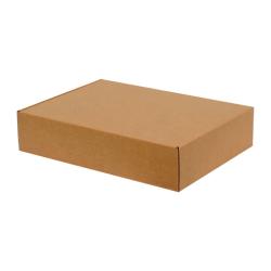 30x20x5 cm Kraft Karton Kutu Kilitli